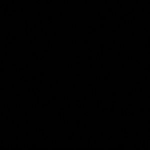 Meet your Posher, Cody